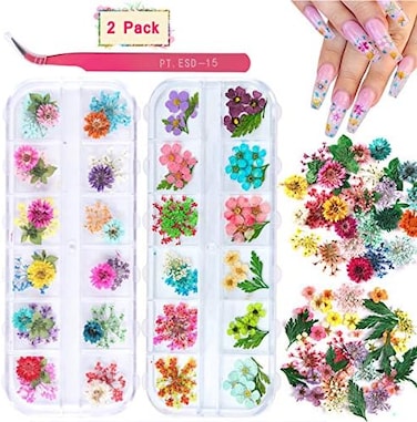 Kissbuty 2 Boxes Dried Flowers For Nail Art, 24 Colors Dry Flowers Mini Real Natural Flowers Nail Art Supplies 3D Applique Nail Decoration Sticker For Tips Manicure Decor (Gypsophila Flowers Leaves)