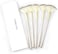 Slim Soft Facial Fan Brush,Makeup Cosmetic Multi Use, Mask Acid Applicator For Glycolic Peel/Masques,Pack Of 5