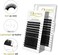 Quewel Eyelash Extension Supplies 0.03 C Curl Mix-8-14Mm Classic Individual Lash Extensions Optinal 0.03/0.05/0.07/0.10/0.15/0.20 C/D Single 8-25Mm Mix 8-14Mm 15-20Mm 20-25Mm (0.03 C Mix-8-14Mm)