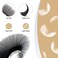 Lashview Eyelash Extension,Ellipse Flat Eyelash Extensions,Individual Lashes,0.15Mm C Curl 12Mm,Lash Extension,Semi-Permanent,Extremely Light &amp; Soft,Professional Salon Use.