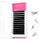 Tdance Eyelash Extension Supplies Rapid Blooming Volume Eyelash Extensions Thickness 0.07 C Curl Mix 8-15Mm Easy Fan Volume Lashes Self Fanning Individual Eyelashes Extension (C-0.07,8-15Mm)