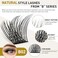 B&amp;Qaugen Lash Clusters B02 Diy Eyelash 72 Cluster Lashes C D Curl Mega Volume Individual Lashes Eyelash Clusters Wispy Lashes Cluster Diy At Home (Nm-D-8-16Mix)