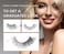 Onlyall نصف رموش زاوية رموش طبيعية رموش نصف رموش Wispy End Lashes رموش زاوية 3/4 رموش Clear Band Lashes 7 أزواج C02 (6 مم - 14 مم)