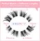 Alice Lash Clusters Diy Lashes Natural Look Cat Eye Clear Band Faux Mink Lashes Pack Wispy Fluffy 3D Curl False Eyelashes 56 Wisps