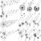 13 Sheets Beautiful Dandelion Temporary Tattoos For Women Realistic Flying Dandelion Birds Butterfly Fake Tattoos Flowers For Girls Kids Hand Wrist Neck Decoration Temp Tatoos Temporary Sticker