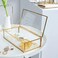 Levilan Golden Vintage Glass Lidded Box Edge Bracelet Keepsake Decorative Jewelry Display Personalized Large Clear Rectangle Box Rings Bracelet Golden Organizer Home Decor (8X4.5X2In)