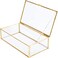Levilan Golden Vintage Glass Lidded Box Edge Bracelet Keepsake Decorative Jewelry Display Personalized Large Clear Rectangle Box Rings Bracelet Golden Organizer Home Decor (8X4.5X2In)