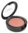 Sheertone Shimmer Blush - Sunbasque - 6G/0.21Oz