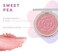Flower Beauty Flower Pots Powder Blush (Sweet Pea)