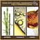 Burt's Bees (Toastedcinnamon) - 100% Natural Blush With Vitamin E, Toasted Cinnamon, 5ml