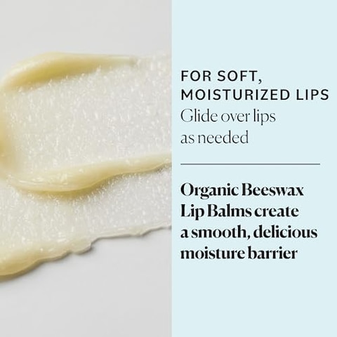 Usda Organic Lip Balm By Sky Organics &ndash; 6 Pack Assorted Flavors &ndash; With Beeswax, Coconut Oil, Vitamin E. Best Lip Butter Chapstick For Dry Lips- For Adults And Kids Lip Repair (Variety Pack Of 6)