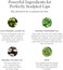 Ogee Sculpted Tinted Lip Oil - Organic &amp; Natural Lip Primer, Moisturizer &amp; Treatment Balm - Petunia (Sheer Blush Color)