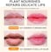Bingbrush 2Pcs Color Changing Lipstick,Pink Crystal Flower Jelly Ph Mood Long Lasting Labiales Lip Care Moisturizer Lip Balm Korean Magic Lip Gloss Lip Tinted Stain Makeup Set For Women
