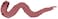 Kiko Milano Creamy Colour Comfort Lip Liner 10 Long-Lasting Lip Pencil, 10 Rose Tea, 1 Count (Pack Of 1)