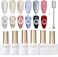 Gaoy Holographic Glitter Cat Eye Nail Polish (Set Of 6)