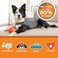 ThunderShirt Small Shirt for Dogs