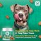 Doggie Dailies Glucosamine for Dogs: 225 Soft Chews, Advanced Hip &amp; Joint Supplement for Dogs with Glucosamine, Chondroitin, MSM, Hyaluronic Acid &amp; CoQ10, Premium Joint Relief for Dogs Made in the USA
