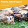 Mushroom Matrix Canine - Healthy Joint And Hip Function Support For Dogs 7.1 Oz. 182771