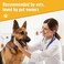 Mushroom Matrix Canine - Healthy Joint And Hip Function Support For Dogs 7.1 Oz. 182771