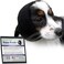 ZONI PETS Happy Hoodie The Original Dog &amp; Cat Calming Band, Anxiety Relief/Noise Protection-Grooming-Thunder-Fireworks (Small, Black)