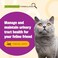 Pet Naturals of Vermont - دعم UT للقطط، مكمل لآثار القرص، 60 قطعة بحجم صغير