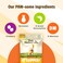 Pet Naturals of Vermont - دعم UT للقطط، مكمل لآثار القرص، 60 قطعة بحجم صغير