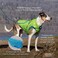 Kurgo Loft Dog Jacket, Reversible Dog Coat, Wear with Harness or Sweater, Water Resistant, Reflective, Winter Coat for Large Dogs (Coastal Blue, XL)