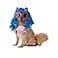 California Costumes Pup-A-Razzi CupCake Girl Dog Small