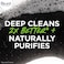 Bior&eacute; Biore Deep Pore Charcoal Daily Face Wash, 6.77 Fl oz, with Deep Pore Cleansing for Dirt and Makeup Removal From Oily Skin