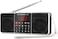PRUNUS J-288 Portable Radio AM FM with Bluetooth Speaker, Sleep Timer, Power-Saving Display, Ultra-Long Antenna, AUX Input &amp; USB Disk &amp; TF Card MP3 Player, NO Manual Preset