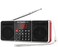 PRUNUS J-288 Portable Radio AM FM Radio with Bluetooth Speaker, Sleep Timer, Power-Saving Display, Ultra-Long Antenna, AUX Input &amp; USB Disk &amp; TF Card MP3 Player, NO Manual Preset