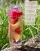 AquaFrut 32 OZ Fruit Infuser Water Bottle BPA-Free Fruit Infusion Sports Bottle - Flip Top Lid w Drinking Spout, Leak Proof, Made of Durable Tritan. Free Recipe eBook! (Pink)