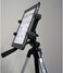 ChargerCity ChargerCity Vibration Free 360 Adjust Tripod Mount 1/4-20 Adapter, HDX-Lock Holder for 7 to 12-Inch Tablets