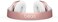 Amazon Renewed (Rose Gold) - Beats Solo3 Wireless On-Ear Headphones - Rose Gold (Renewed)