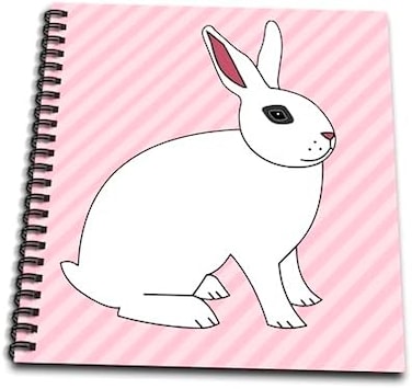 3dRose (8x8 drawing book) - Janna Salak Designs Small Pets - Cute Hotot Rabbit Bunny on Pink Stripes - Drawing Book