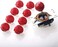 SANWA JLF-TP-8YT Joystick + Sanwa 8 pcs OBSF-30 Push Button Bundle Kit Color : Red - for Arcade Game 4 &amp; 8 Way Adjustable, Compatible with Catz Mad SF4 Tournament Joystick S@NWA
