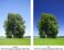 Schneider Optics B + W Circular Polarizer Kaesemann - Standard Mount (F-PRO), HTC, 16 Layers Multi-Resistant Coating, Photography Filter, 72 mm