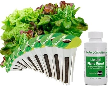 خضراوات السلطة التراثية ذات 9 قرون