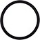 Pentair 154492 2-Inch Bulkhead O-Ring Replacement Pool and Spa Sand Filter