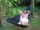 Hammock Bliss Sky Bed - Hangs Like A Hammock, Sleeps Like A Bed - Unique Asymmetrical Design Creates An Amazingly Flat and Insulated Camping Hammock - Integrated Suspension 100" / 250 cm Rope Per Side