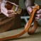 Otter Wax Conditioning Leather Oil - 5oz - All-Natural Polishing Treatment For Furniture, Boots, Car Seats, Jackets, Shoes &amp; Bags