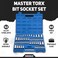 Neiko 10083A Master Torx Bit Socket And External Set   60-Piece S2 Cr-V Steel