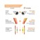 Wirefy 180 PCS Heat Shrink Butt Connectors Kit - Marine Grade Butt Connectors - Wire Butt Splice Connectors - Electrical Waterproof Heat Shrink Butts - 22-10 AWG