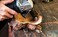 Arbortech Contour Sander   &Atilde;&tilde; 50 mm Mini Random Orbit Sander Attachment for Angle Grinder   SAN.FG.200