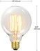 Globe Electric 60W Vintage Edison G30 Vanity Tungsten اللمبة المتوهجة، E26 قاعدة الدائمة، 245 لومن 01320