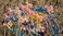 قالب حلوى N More Horse Lollipop Chocolate Candy Western My Little Pony 3307