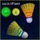 ZHENAN LED Badminton Shuttlecocks Lighting Birdies Shuttlecock Glow in The Dark Badminton for Indoor Outdoor Sports Activities
