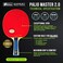 Expert Table Tennis Palio