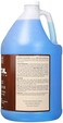 مودرن ماسترز معدني منشط بتأثيرات PA904GAL، ازرق شفاف، 3.78 لتر (عبوة من قطعة واحدة)