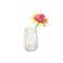 by 
		 Editors of Klutz 
 			(Author) 
 	 Fabulous Flowers